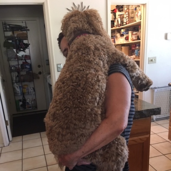 Meet your Posher, Terry - Picture 5 of 6